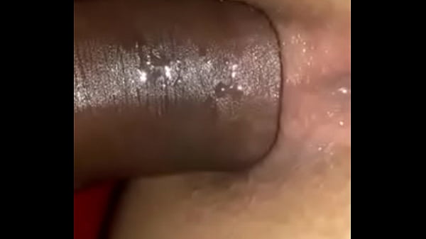 Comendo o cu da morena